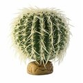 Exo Terra Exo-Terra Plant Medium, Barrel Cactus A64